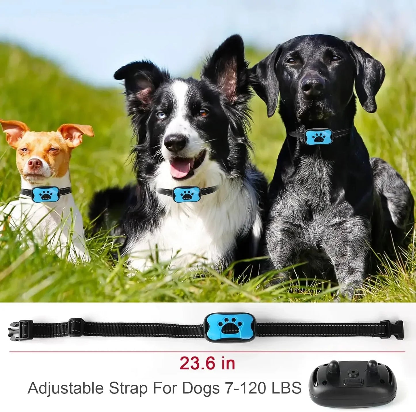 Quiet Paws Dog Training Collar