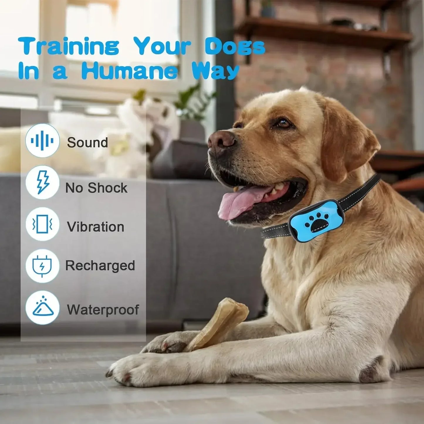 Quiet Paws Dog Training Collar